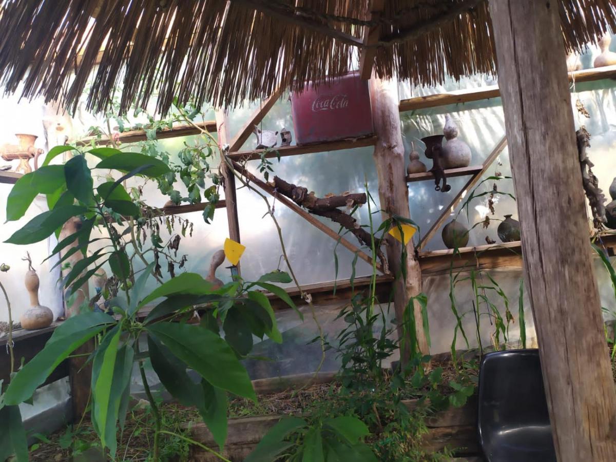 Casa Candombe Y Mar Barra de Valizas Extérieur photo